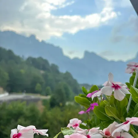 Frühstückspension Vellezrit Guri 3*