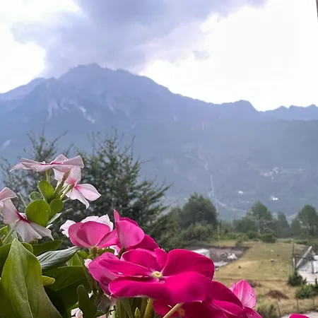 Vellezrit Guri 住宿加早餐酒店 泰斯